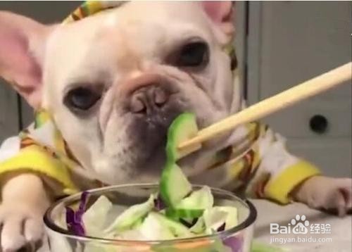 小狗眼睛下面有泪痕怎么办