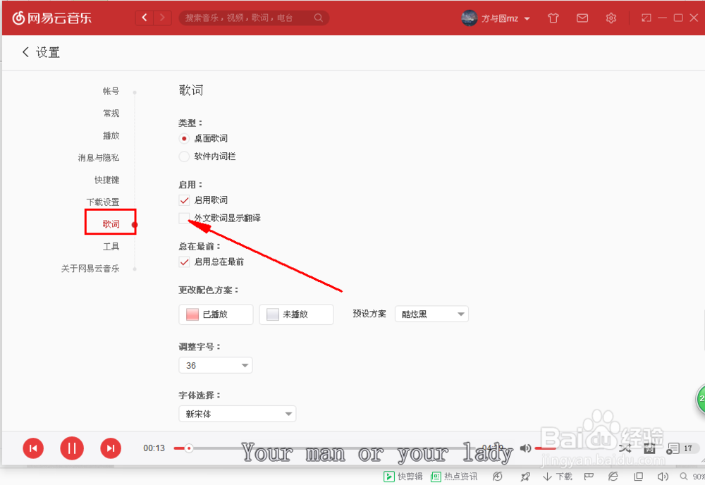 网易云音乐然后开启歌词翻译。