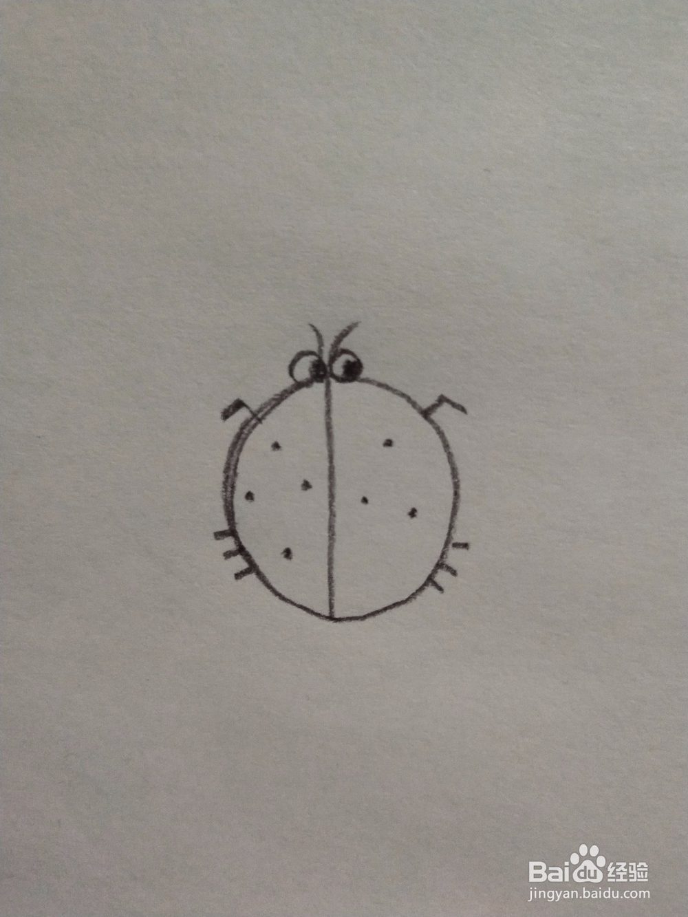 瓢虫简笔画怎么画