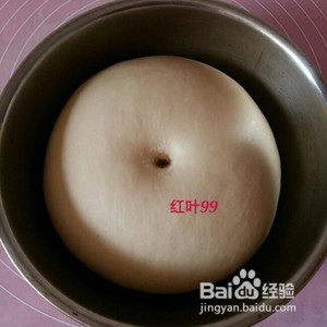 蜂蜜奶香小排包