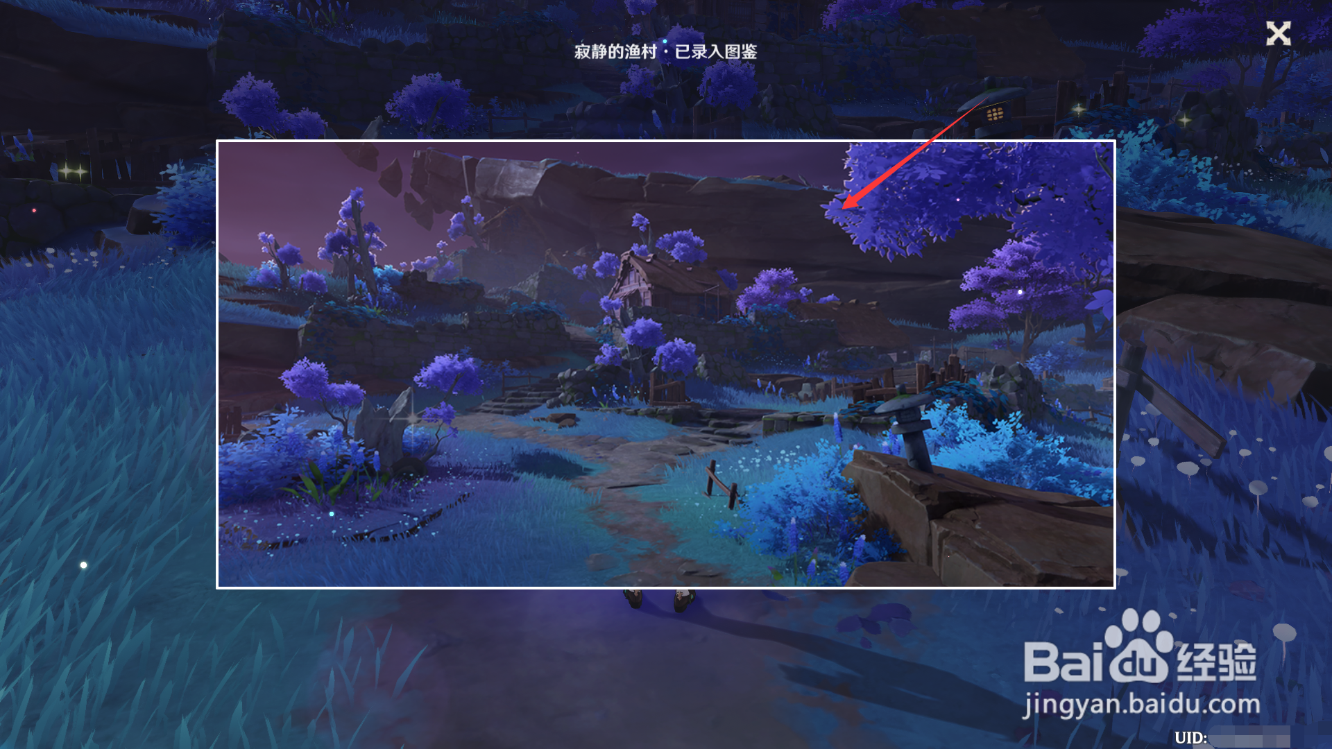 稻妻观景点五的位置。