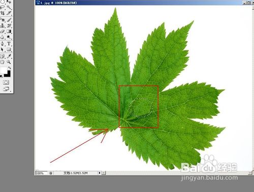 怎样用PS制作水滴