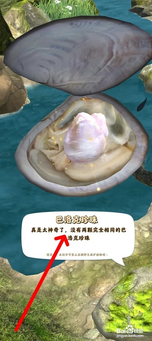 夺笋高手怎样获得巴洛克珍珠