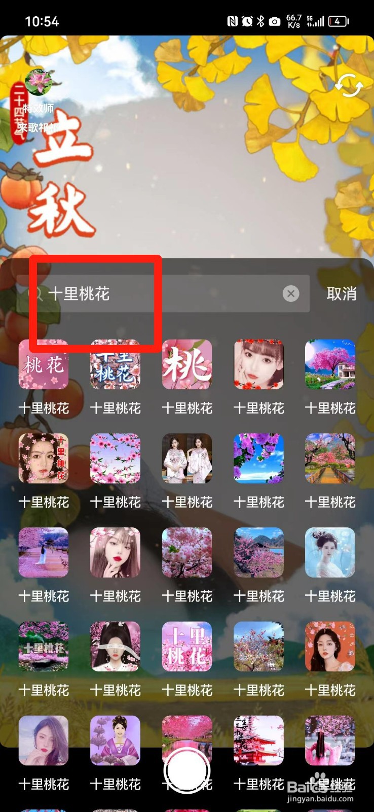 抖音十里桃花特效怎么获得
