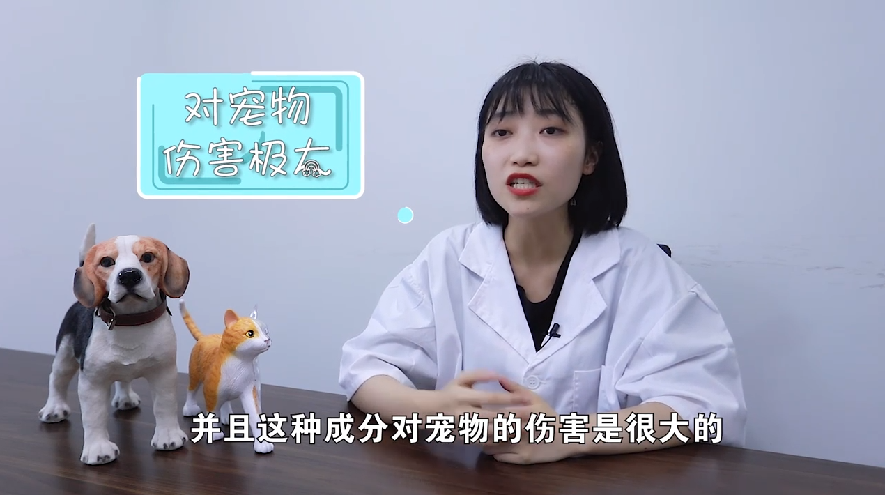 超市里的消毒水对宠物有害吗