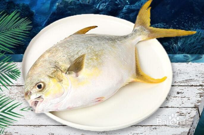 动物性食物的营养价值