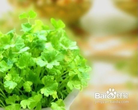 提高记忆力的几种方法