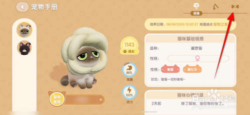 心动小镇猫咪如何装扮机车头盔