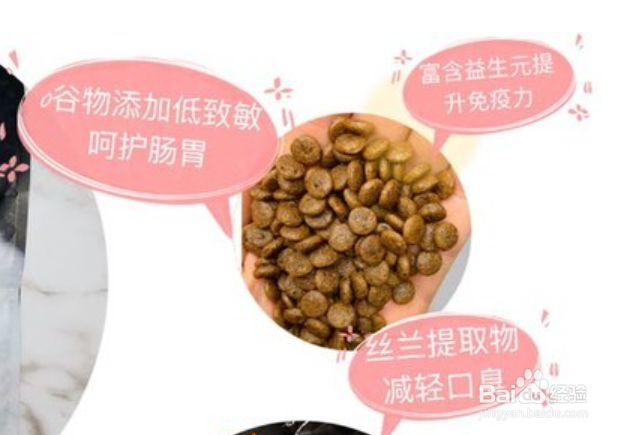 什么样的猫奶粉好？猫咪羊奶粉的好处