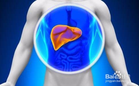 丹参的一些小知识以及丹参茶的功效