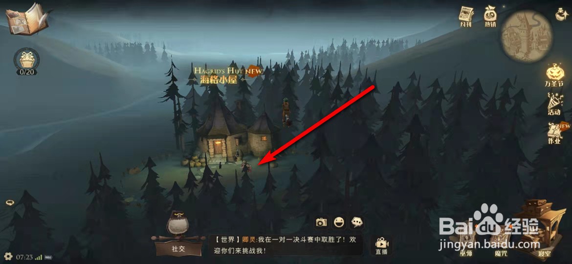 哈利波特魔法觉醒11.8看看我的南瓜拼图在哪里