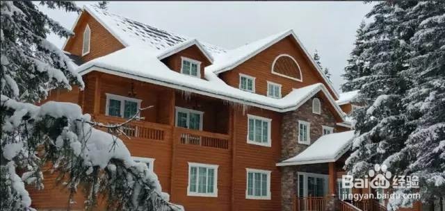 喀纳斯冬季旅游全攻略