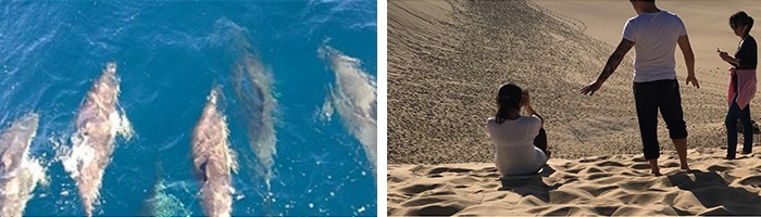 澳洲静心度假之旅之慢节奏