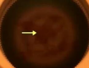 怎么分辨饮料里有没有再来一瓶