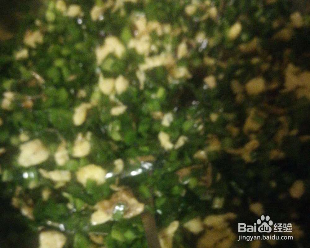 花式做-韭菜盒子的教程