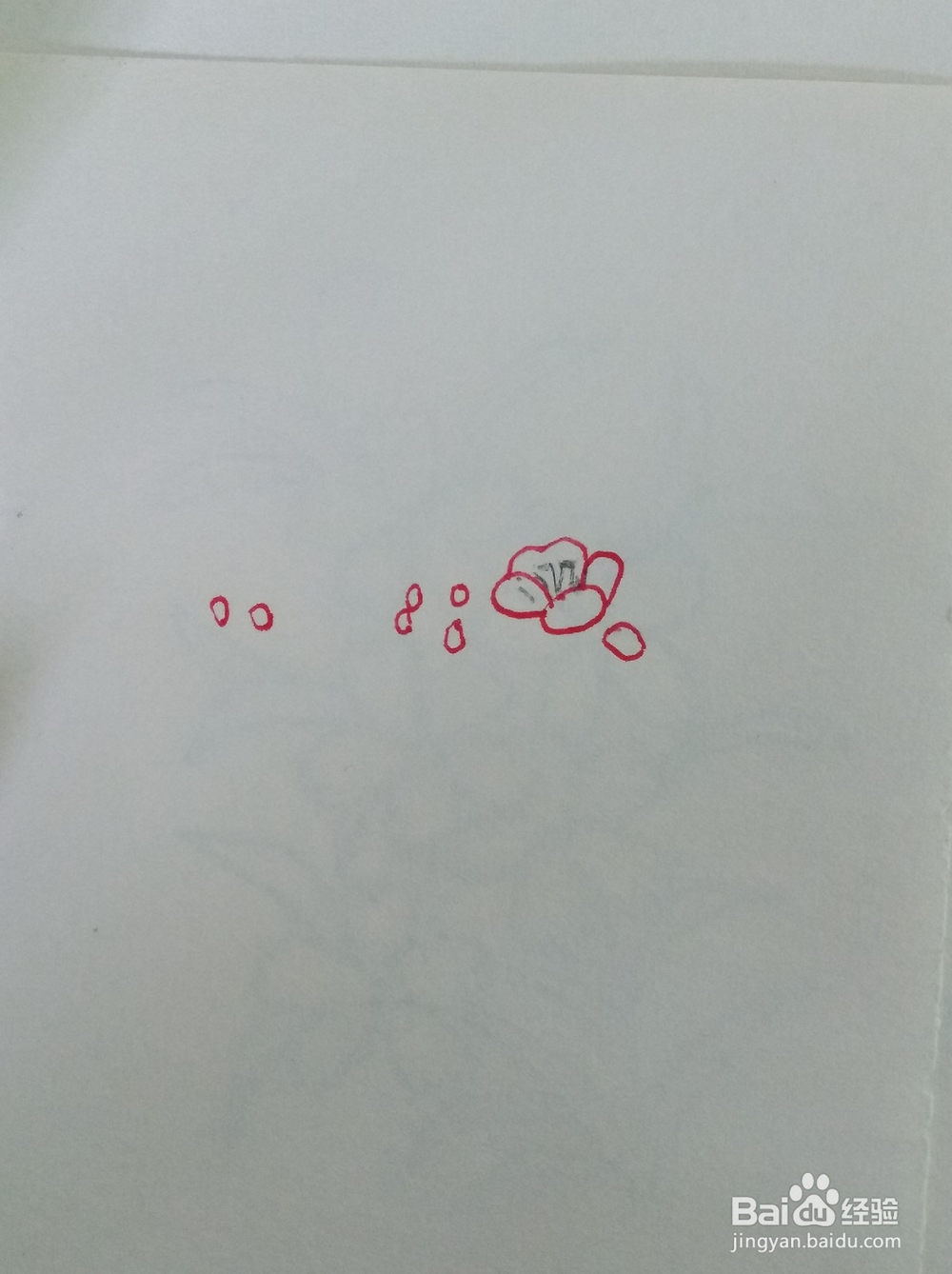 简笔画画梅花