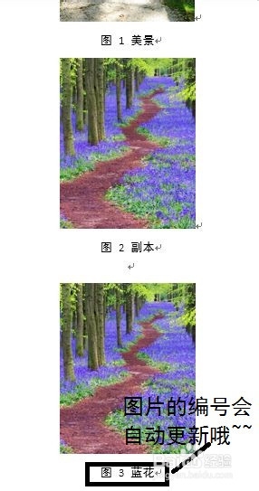 Word2013如何给图片自动编号