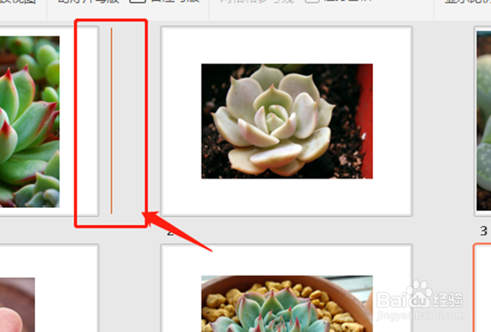 如何调整PPT幻灯片的顺序