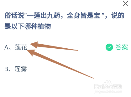 蚂蚁小课堂9.24一莲出九药全身皆是宝说的是