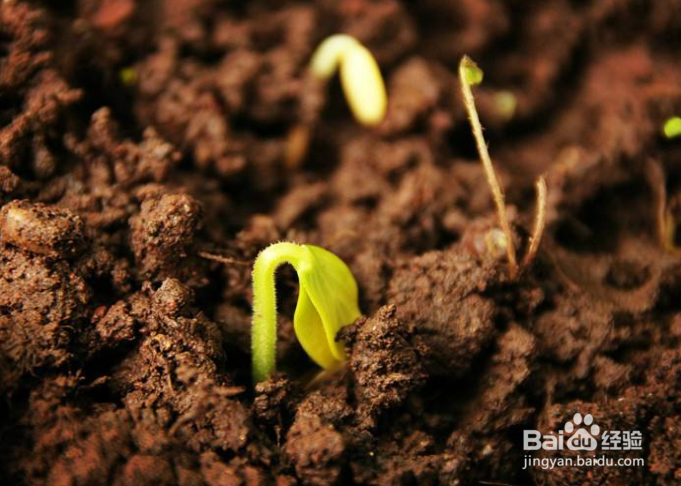 生活中如何戒掉毒瘾?需要注意哪些?