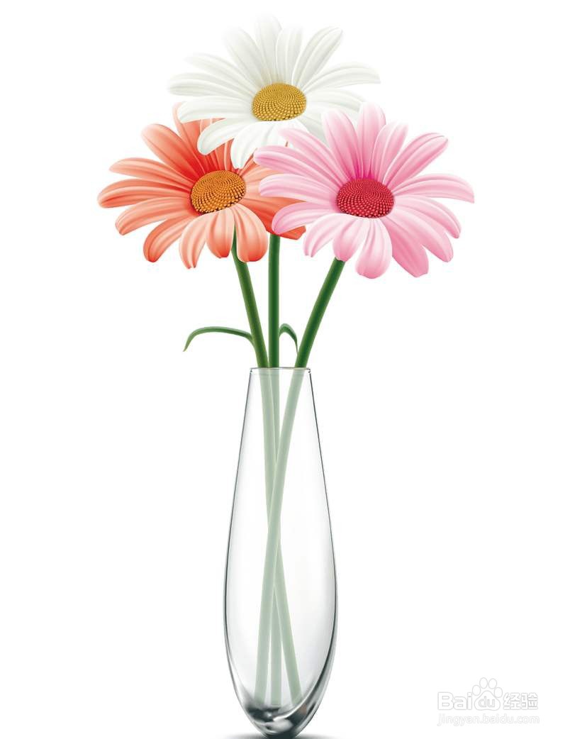 怎么养花瓶里的花