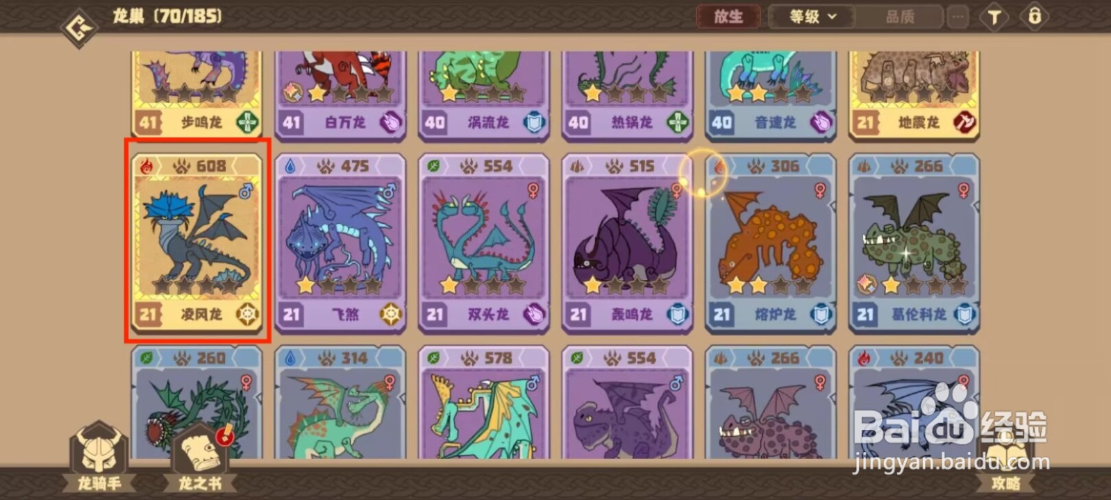 驯龙高手旅程凌风龙如何穿戴装备？