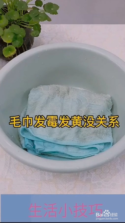 毛巾发霉发黄怎么办？