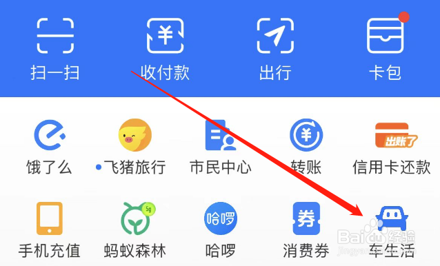 汽车保养记录查询
