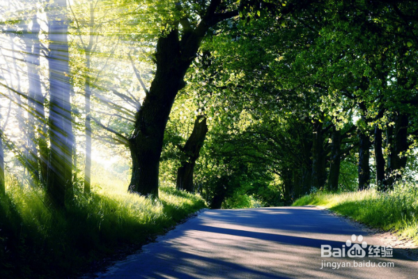 去云南旅游怎样才能玩的开心