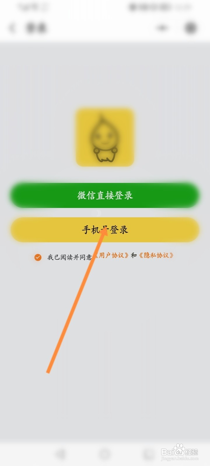 小麦保险在哪里查询