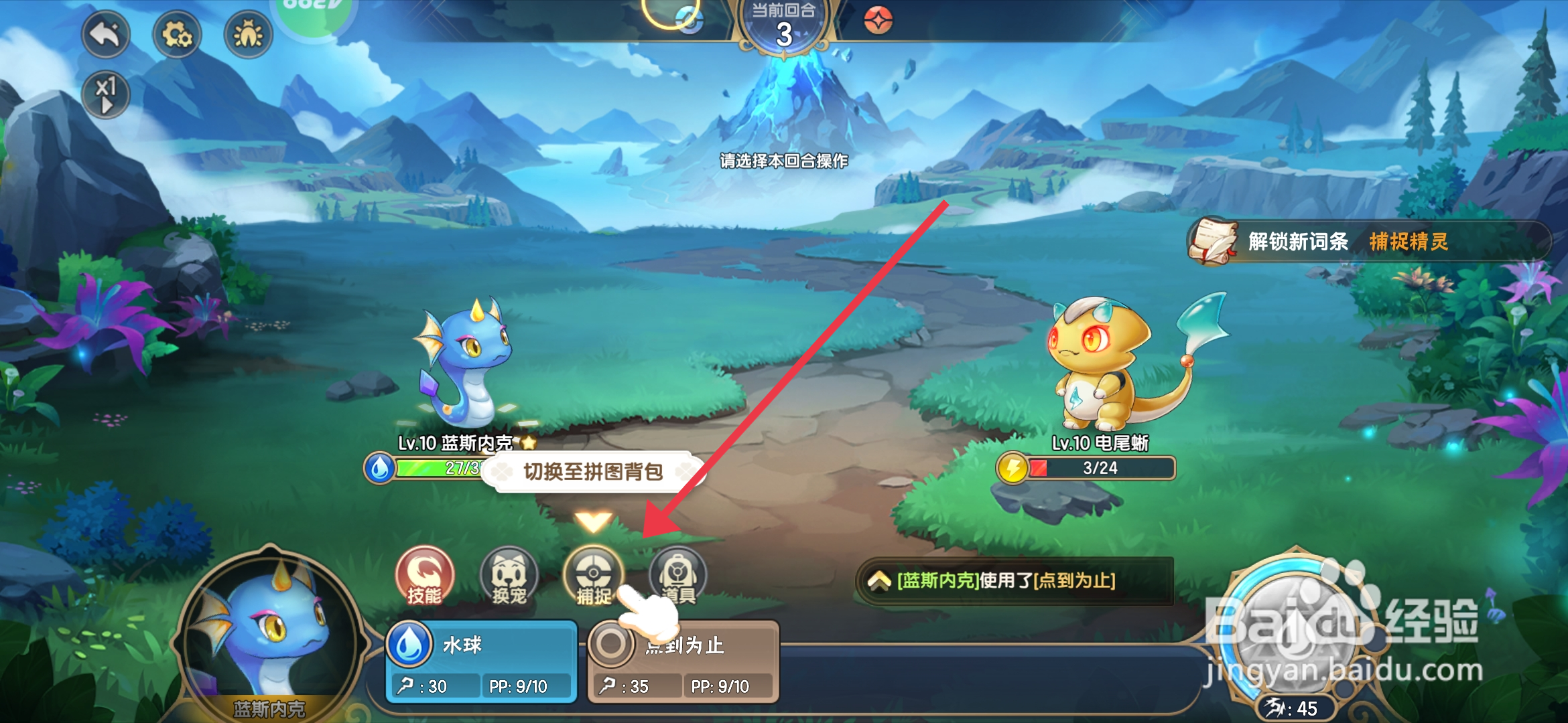 西普大陆如何捕捉精灵?