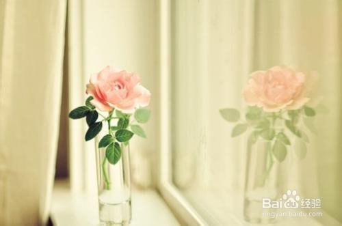 细说导致风湿病的病因有哪些