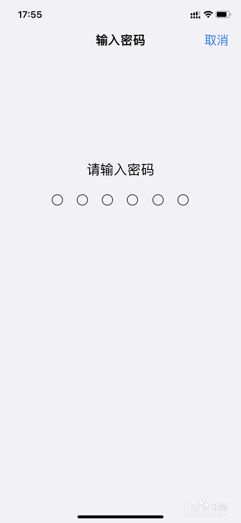 苹果13下载软件怎么用面部识别
