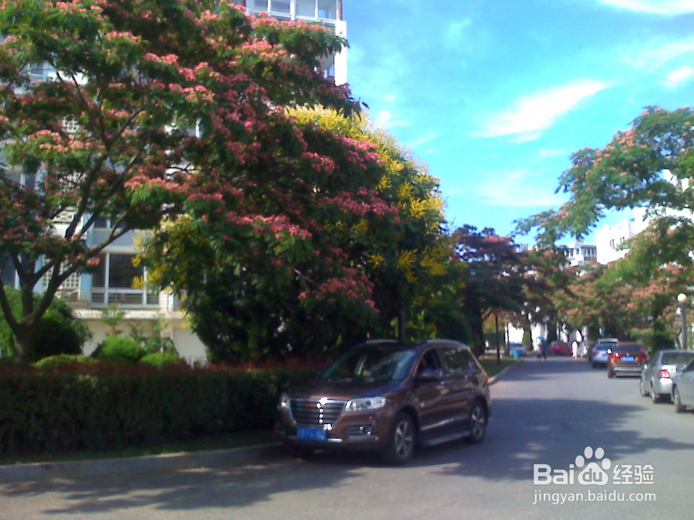 怎样告诉孩子什么是天然的氧吧--9