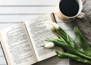 百度经验的撰写秘诀