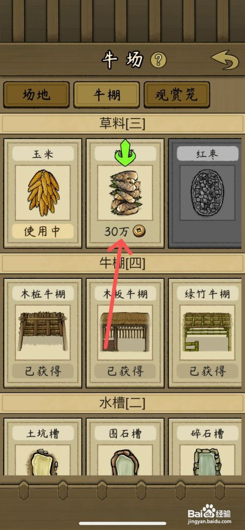 叫我养牛王如何给斗牛喂鲜笋草料