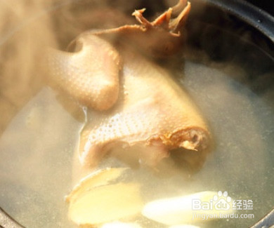 煮鸽子汤放什么料