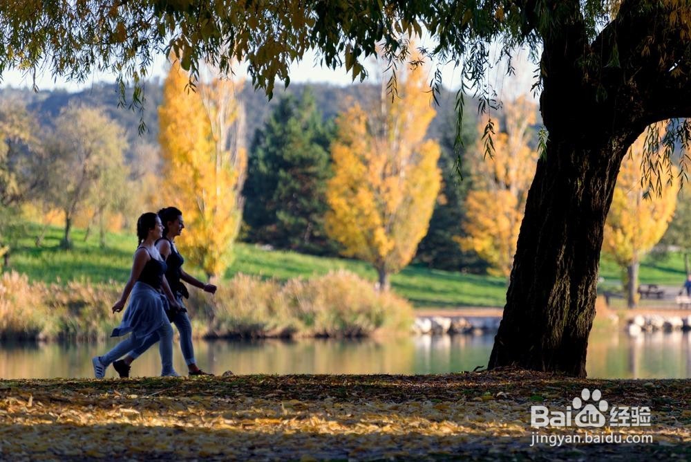 处事要方做事要圆