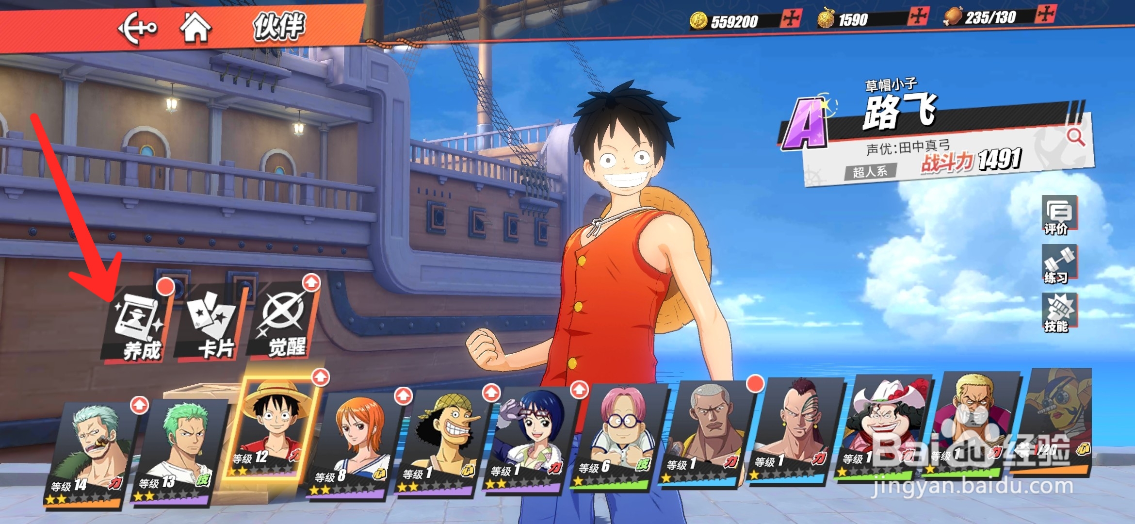 航海王热血航线怎么给伙伴升级