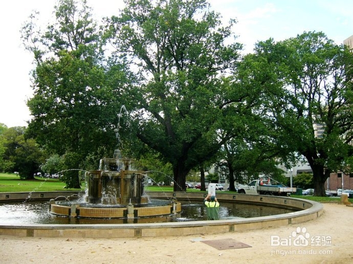 澳洲游记：[22]墨城林荫大道