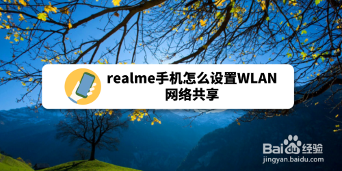 realme手機怎麼設置wlan網絡共享