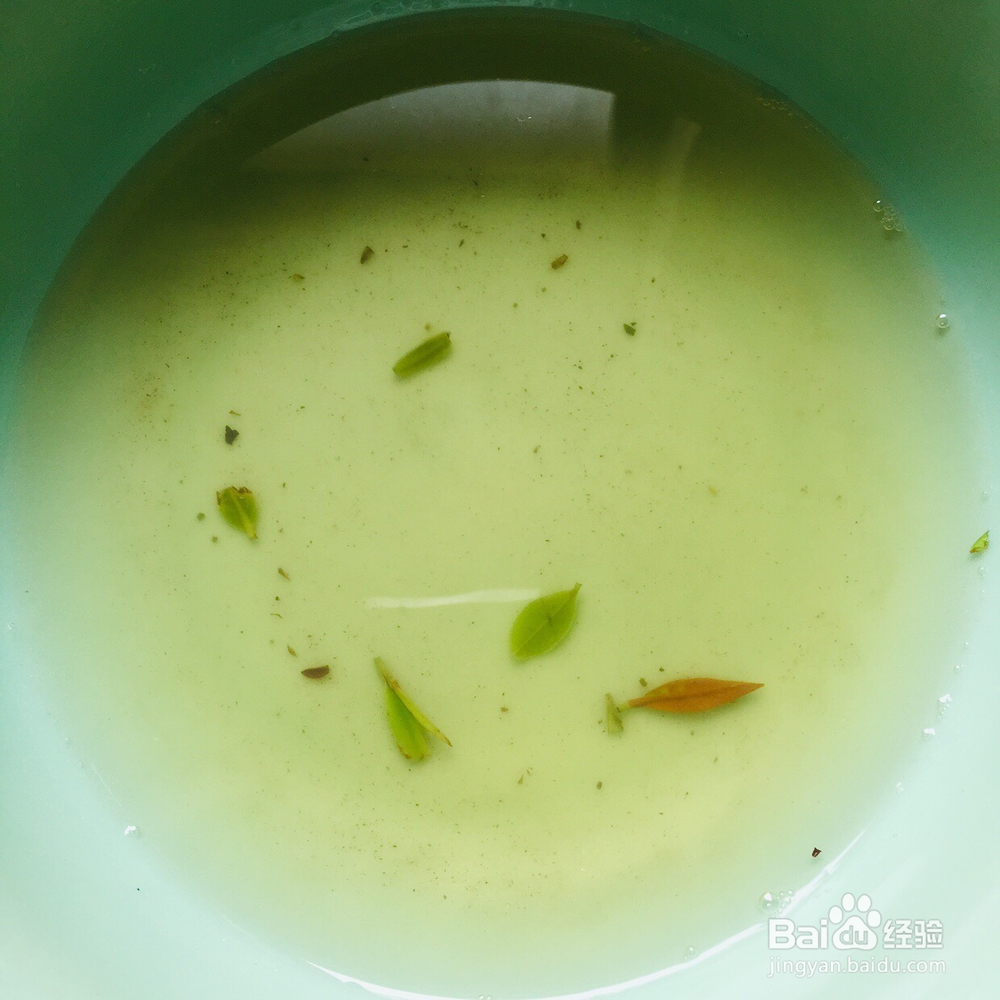 营养美味的凉拌茶叶