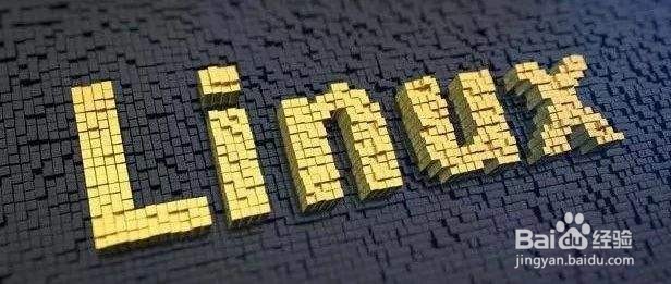 linux查看版本命令