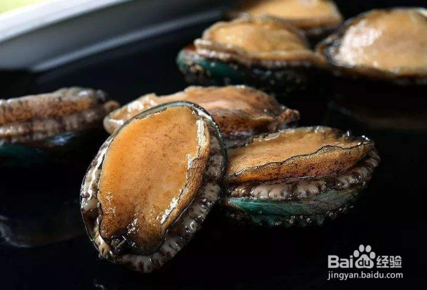 鲍鱼煮多长时间能煮熟
