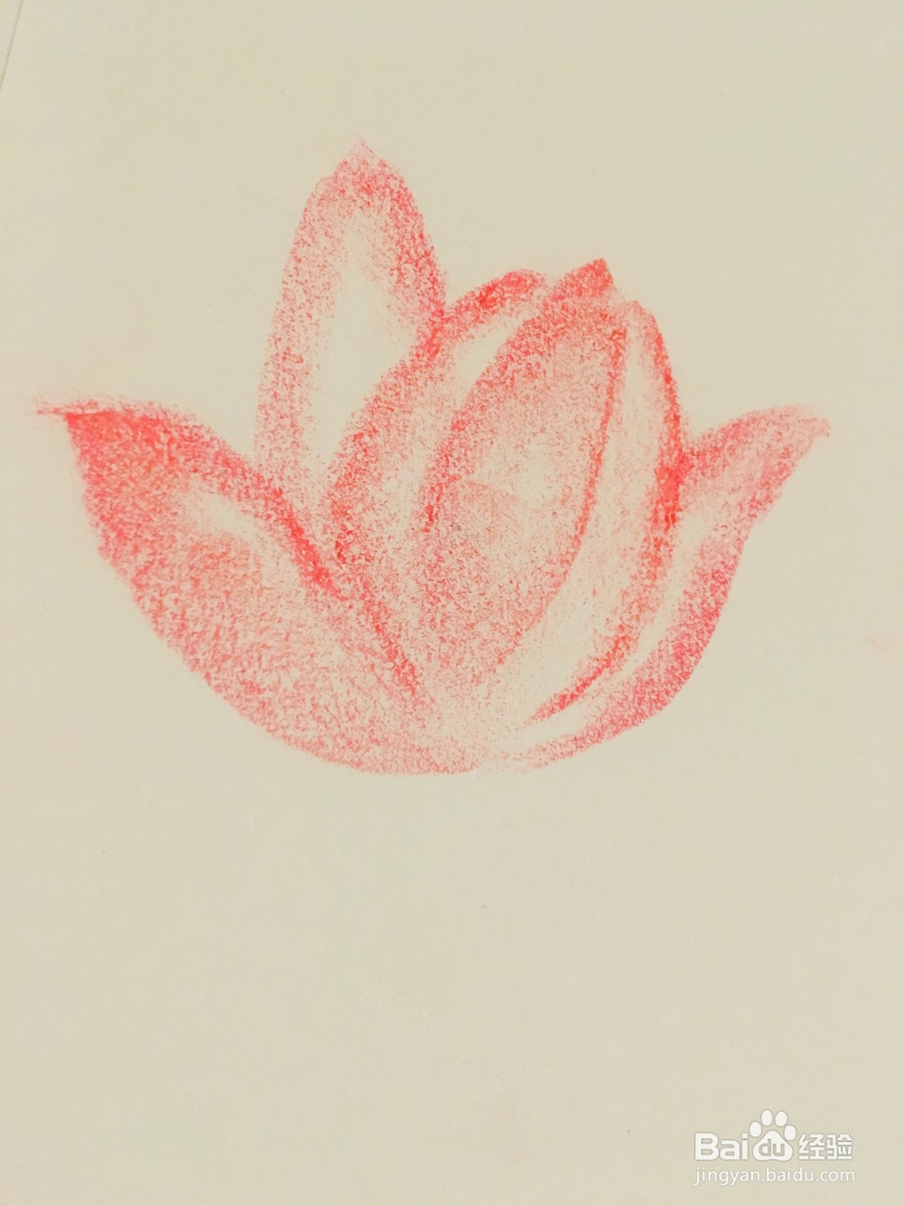 怎样用油画棒画荷花？