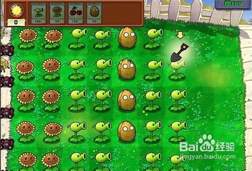 《植物大战僵尸》新手教程及刷钱战术