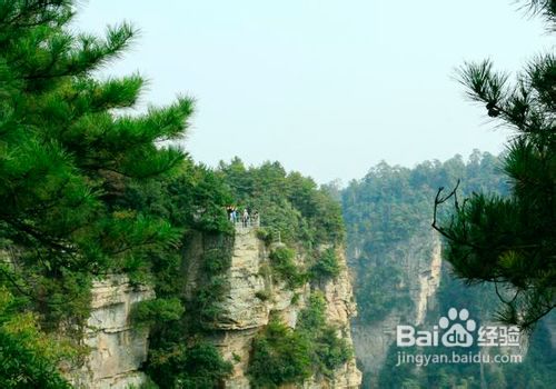 台湾到张家界旅游攻略