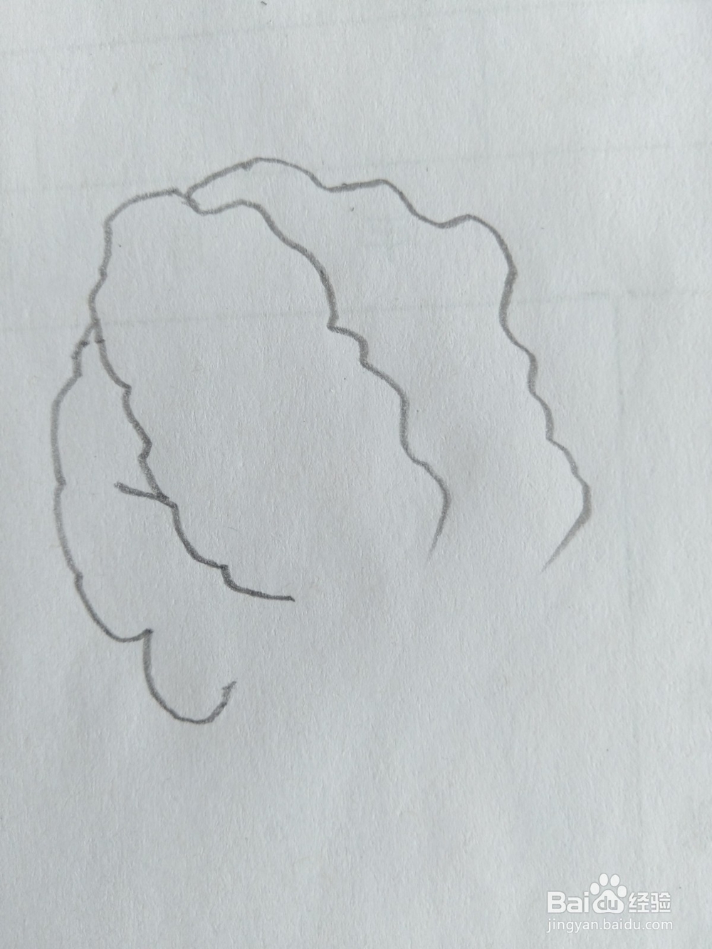 儿童简笔画白菜画法八