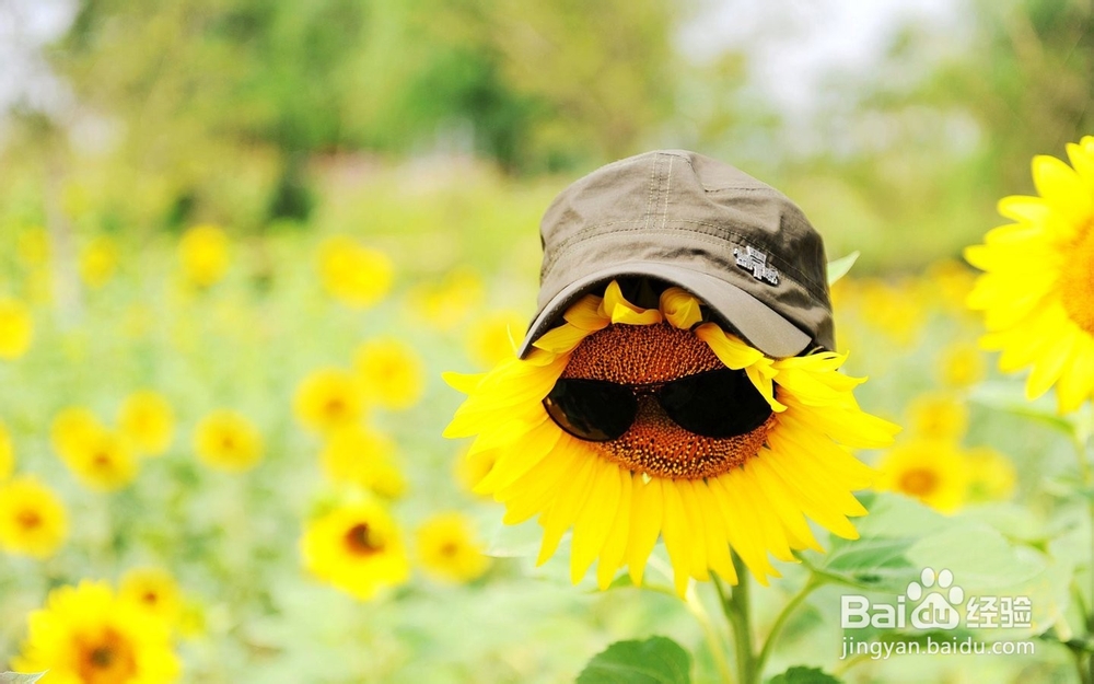 为什么会长粉刺
