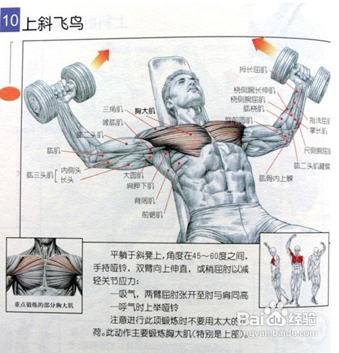 男士必须收藏:男士健身方案